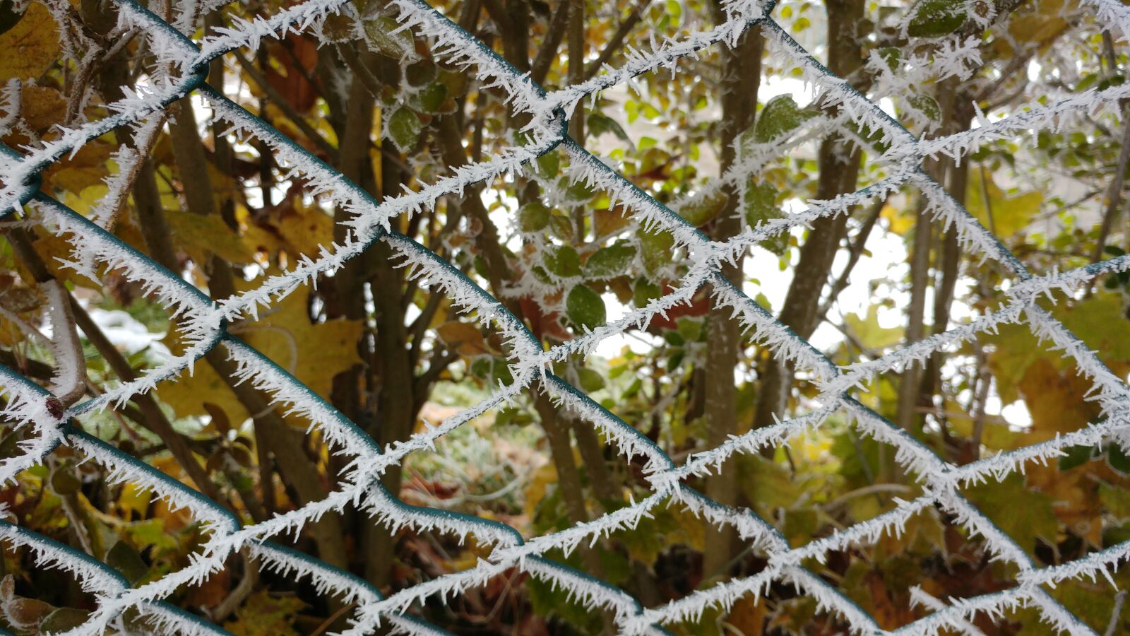 LG G5 sample photo. Fence, winter, snow photography