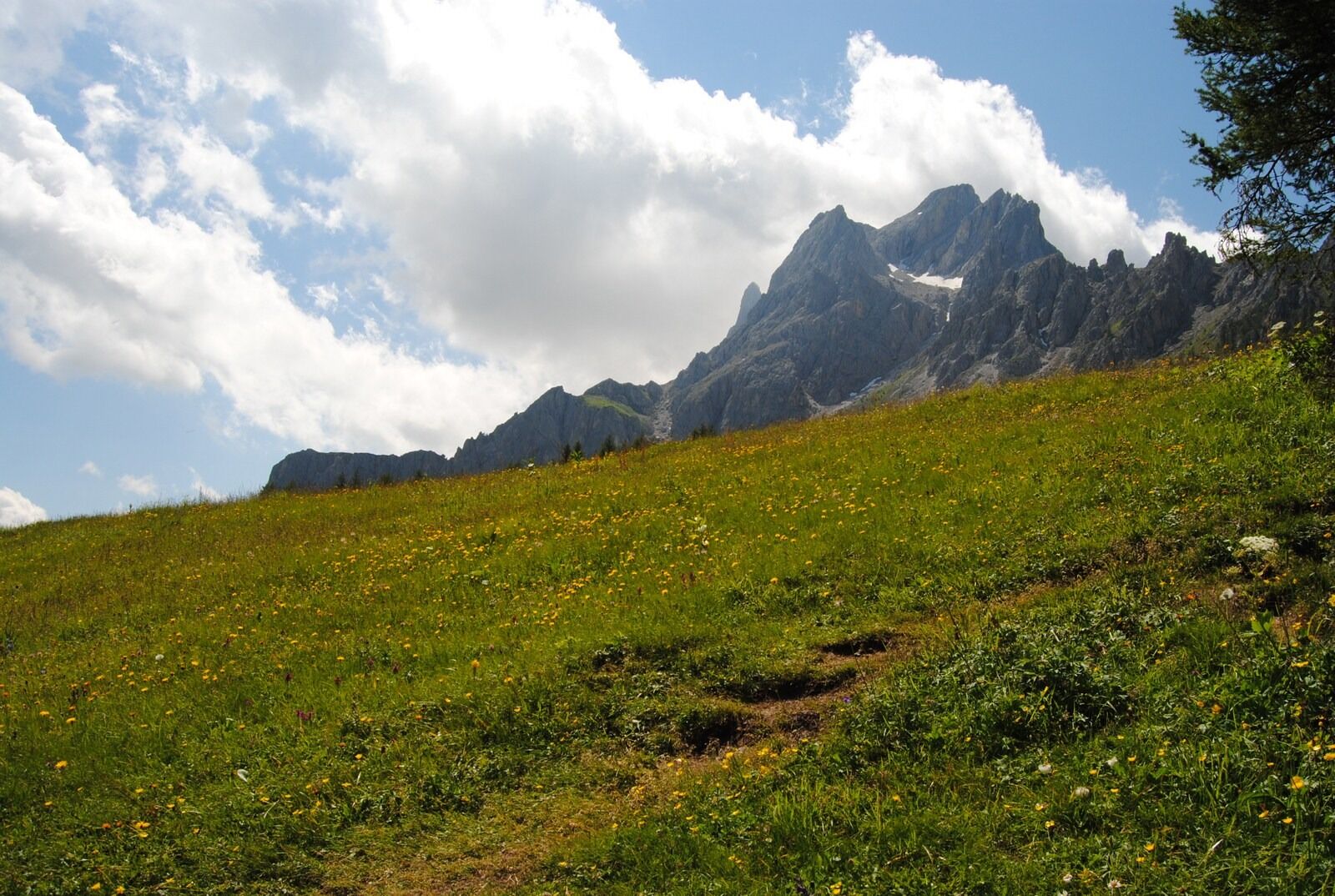Nikon D3000 sample photo. Landscape, mountains, prato photography