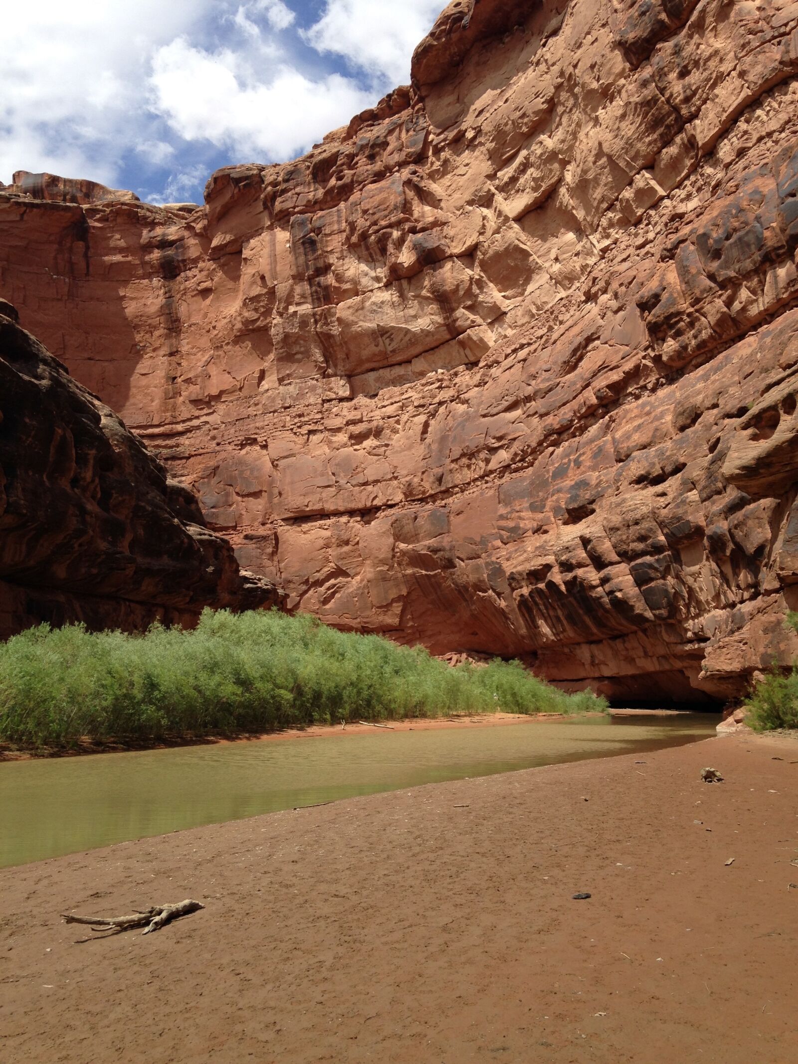 iPhone 5c back camera 4.12mm f/2.4 sample photo. Sandstone, utah, canyon photography