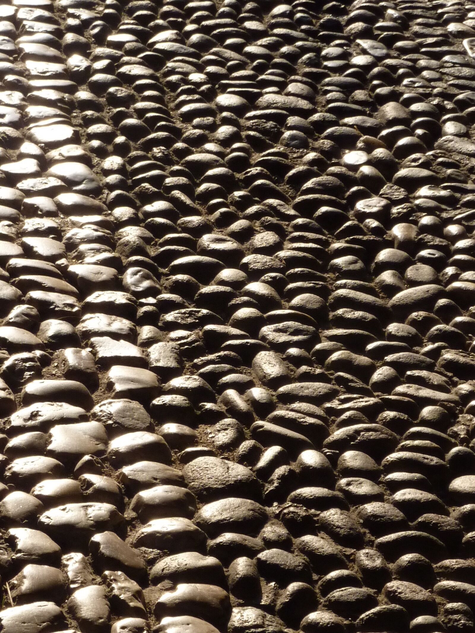 Panasonic Lumix DMC-ZS1 (Lumix DMC-TZ6) sample photo. Patch, abendstimmung, cobblestone photography