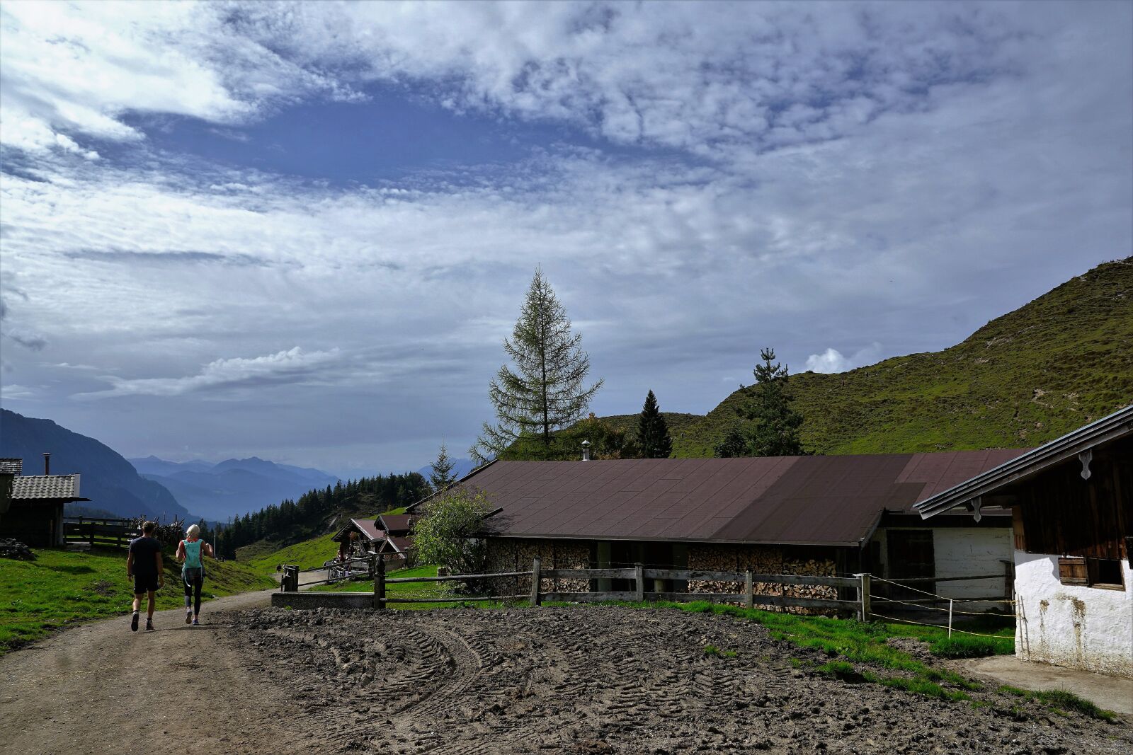 Sony ILCA-77M2 + Sony DT 16-50mm F2.8 SSM sample photo. Alm, austria, wilder photography