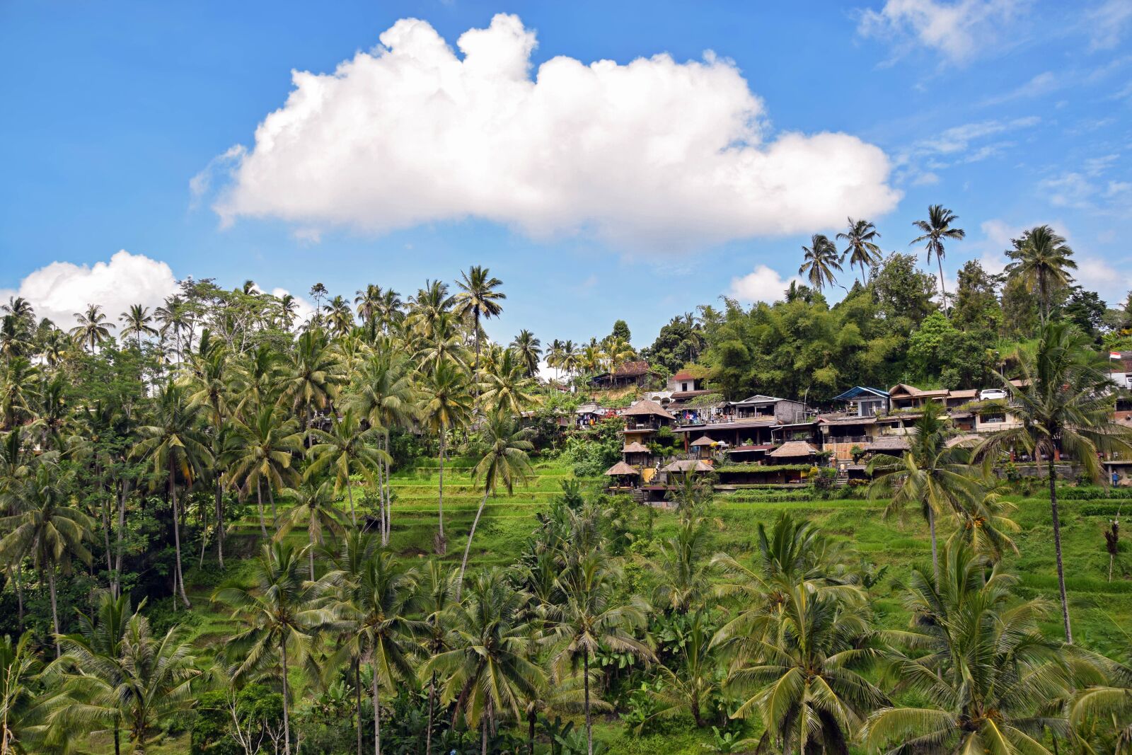 Nikon D3300 sample photo. Bali, indonesia, travel photography