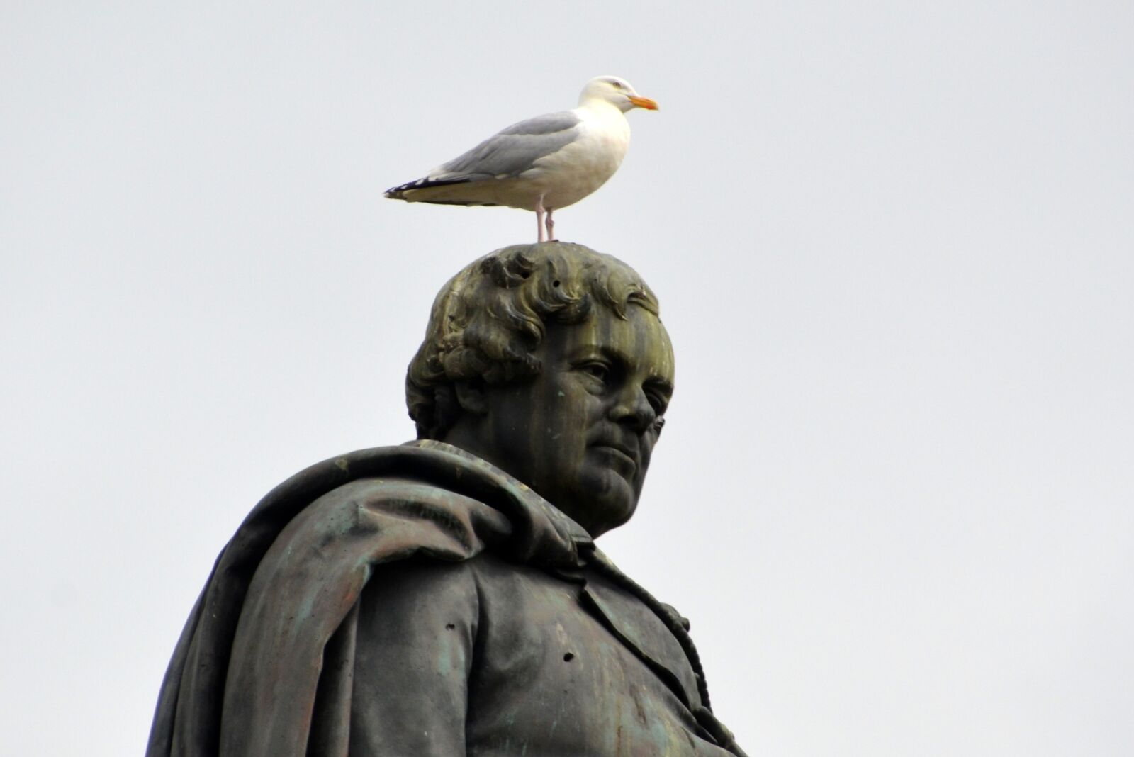 Nikon D5100 sample photo. Oconnel, dublin, ireland photography