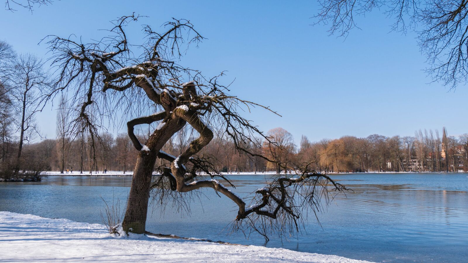Panasonic DMC-G81 sample photo. Wintry, lake, tree photography