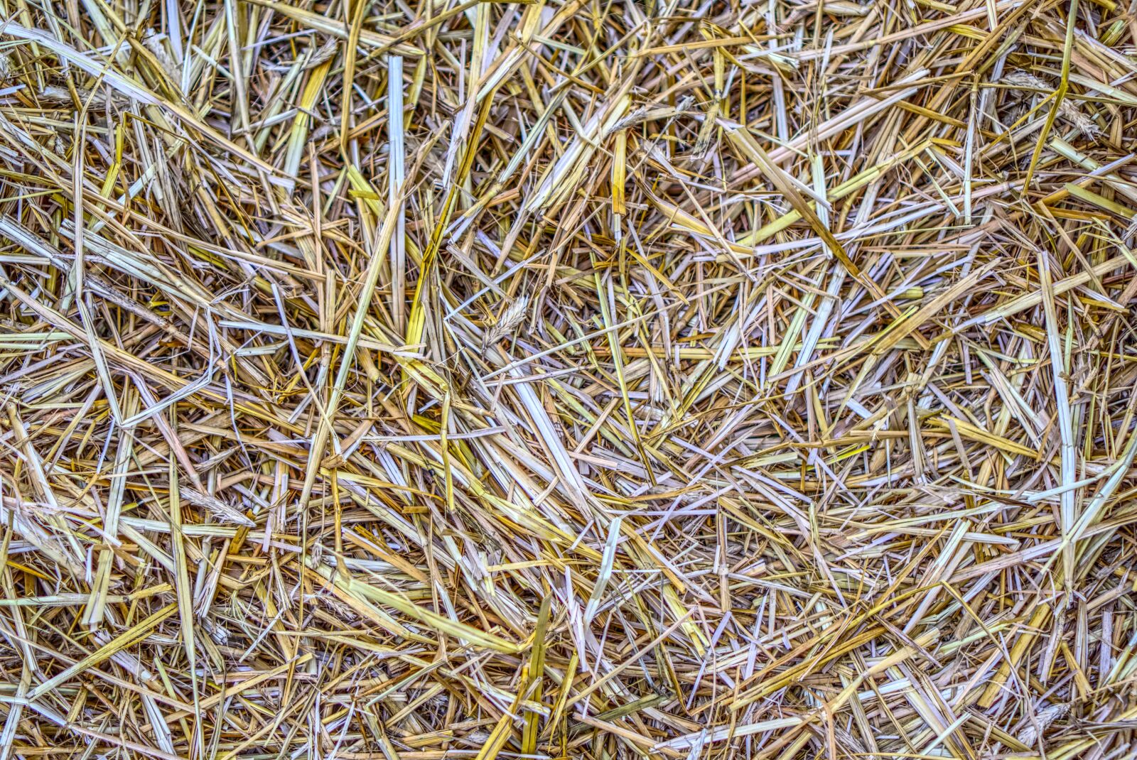 Sony a6000 + Sony E 35mm F1.8 OSS sample photo. Straw, structure, texture photography