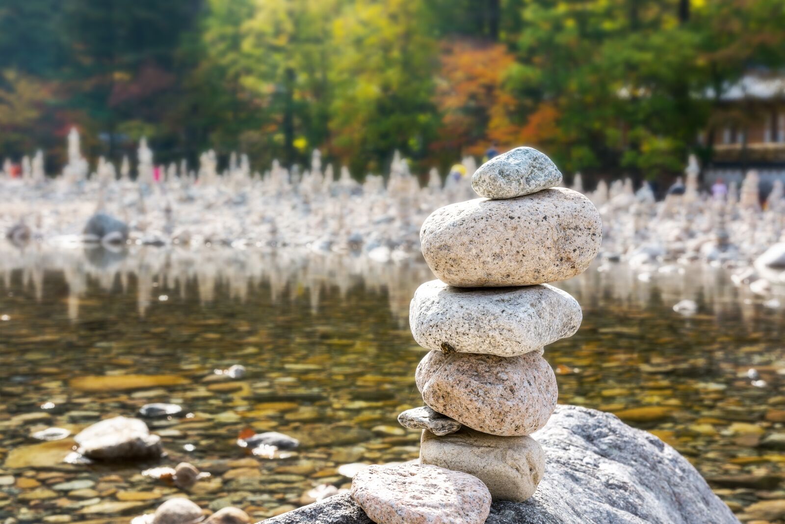Nikon D7100 sample photo. Republic of korea, gangwon photography