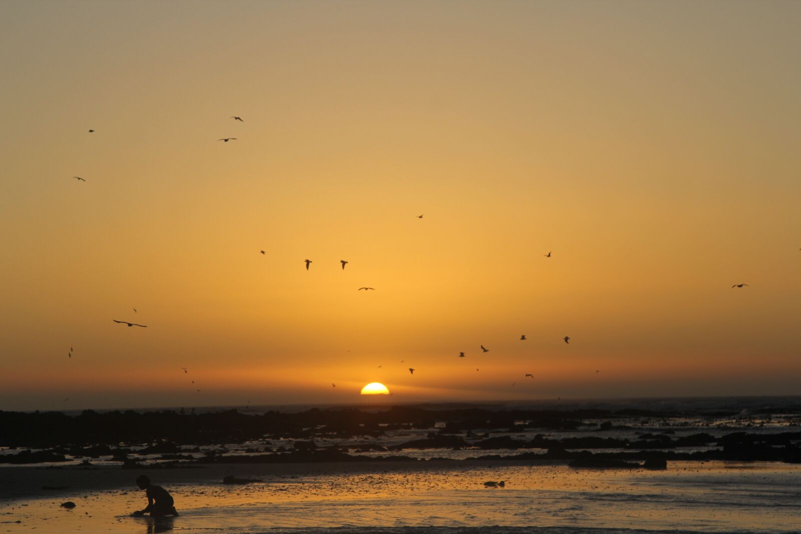 Canon EOS 60D sample photo. African, golden, sunset photography