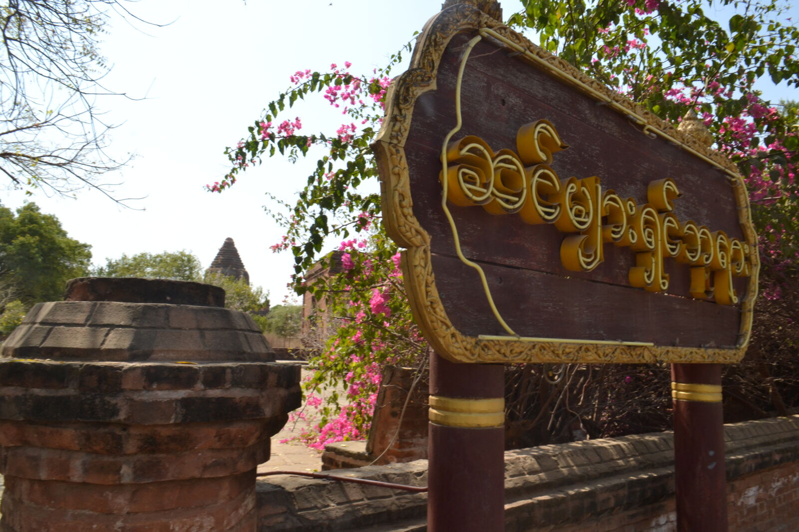 Nikon D3100 sample photo