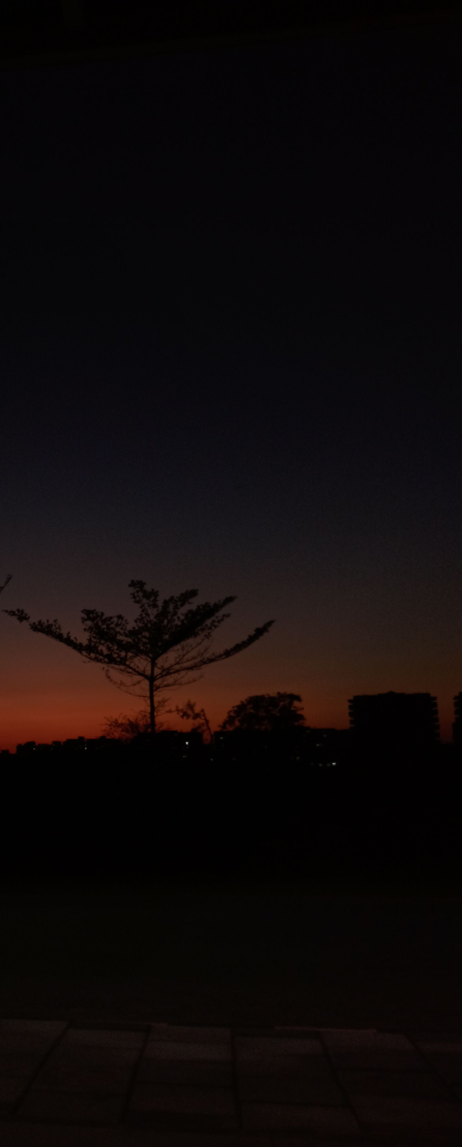Xiaomi Redmi Note 8 Pro sample photo. Nature, dark, night photography