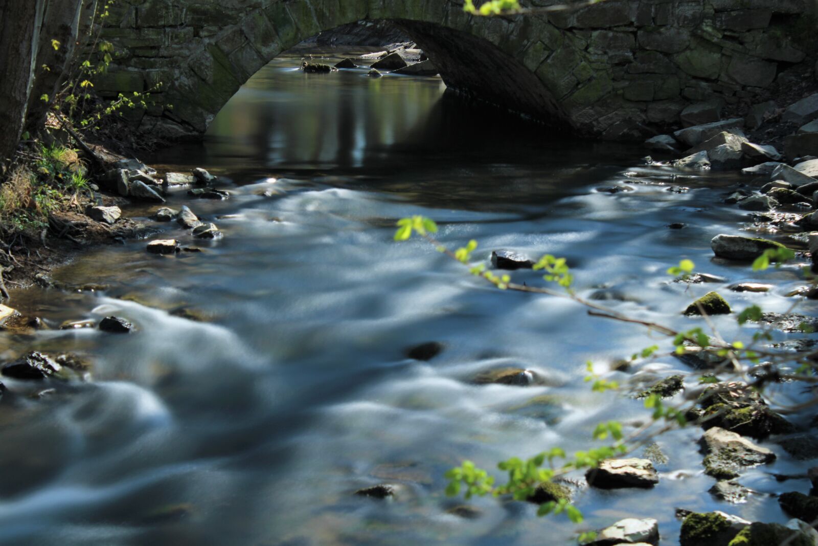 Canon EOS 2000D (EOS Rebel T7 / EOS Kiss X90 / EOS 1500D) sample photo. Bach, water, soft photography