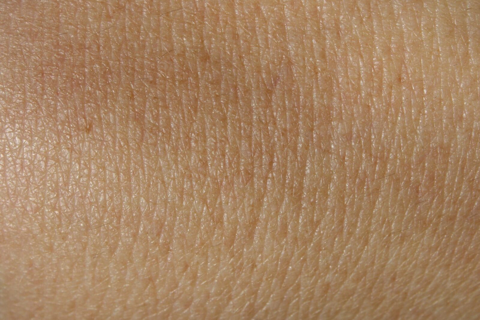 f/3.5-5.6 IS sample photo. Human skin photography