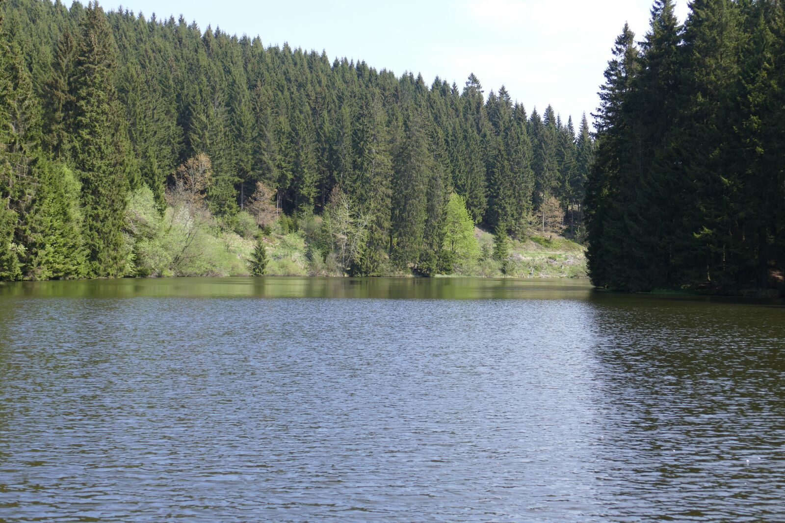 Panasonic Lumix DMC-FZ1000 sample photo. Grumbach pond, lake, water photography