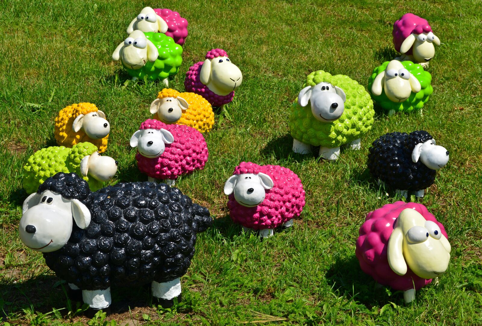 Nikon D5200 sample photo. Sheep, black sheep, funny photography