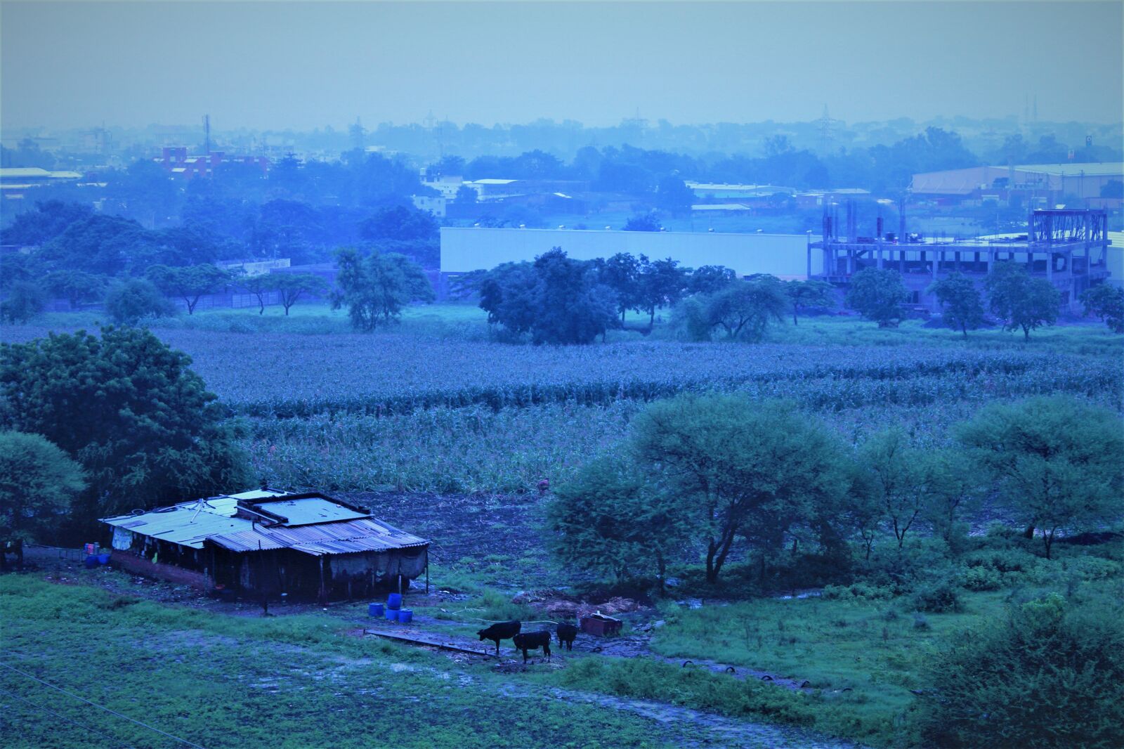 Canon EOS 1300D (EOS Rebel T6 / EOS Kiss X80) sample photo. Farm, land, agriculture photography