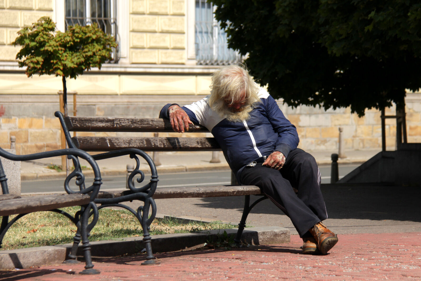 Canon EF-S 18-200mm F3.5-5.6 IS sample photo. Branch, bulgaria, dream, hobo photography