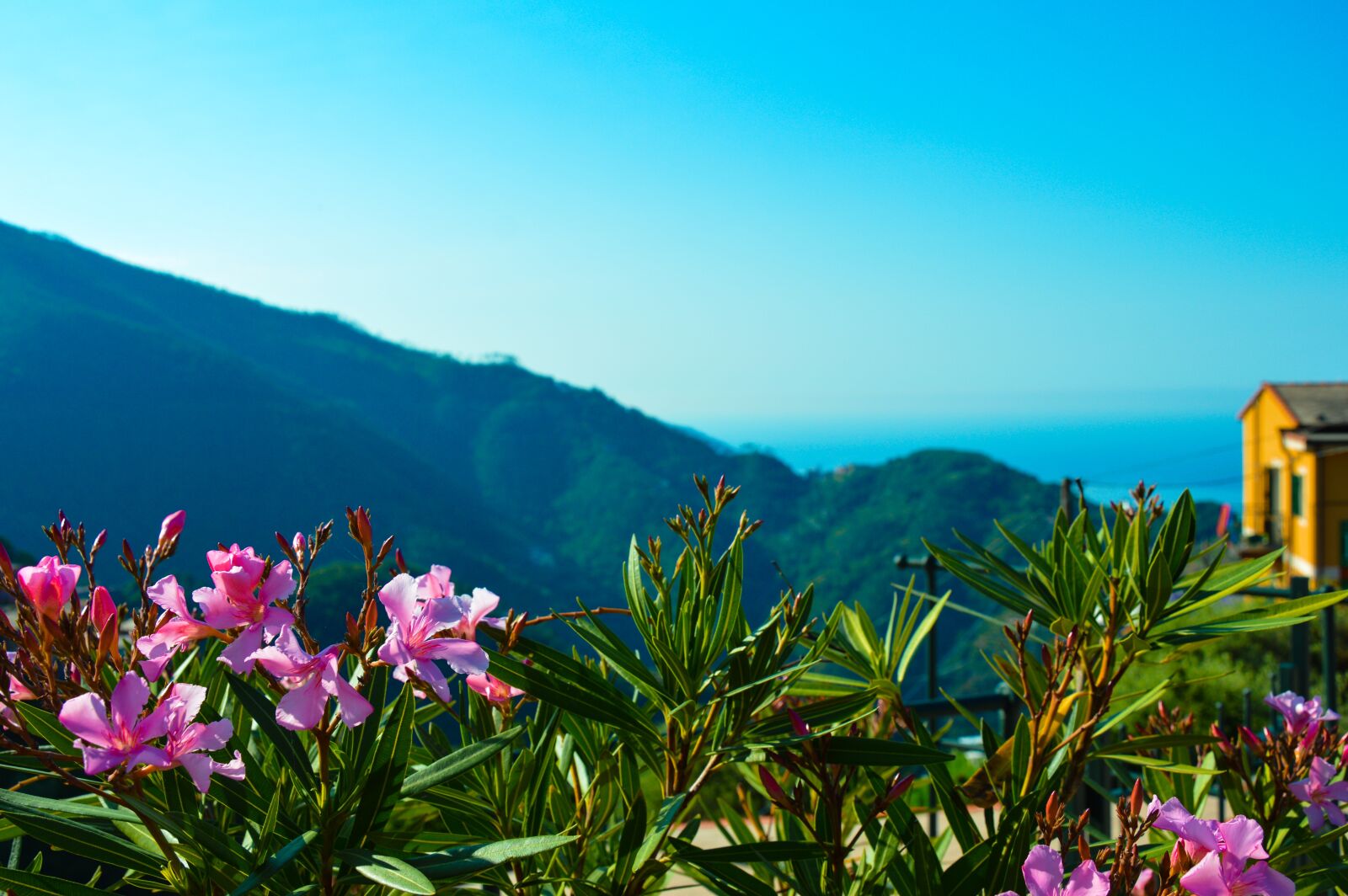 Nikon D3200 sample photo. Italy, liguria, vernazza photography