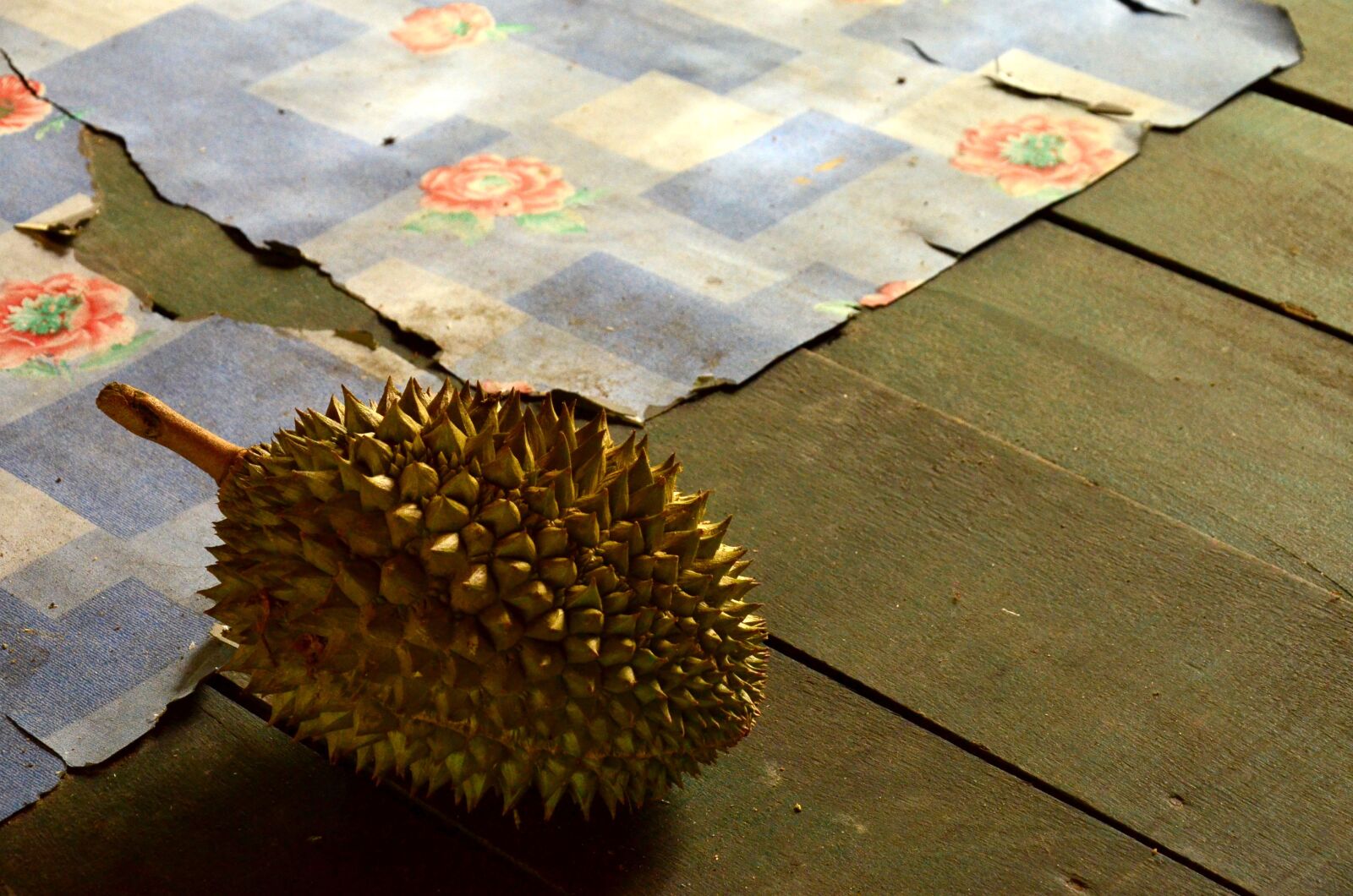 Nikon D7000 sample photo. Durian, fruit, exotic photography