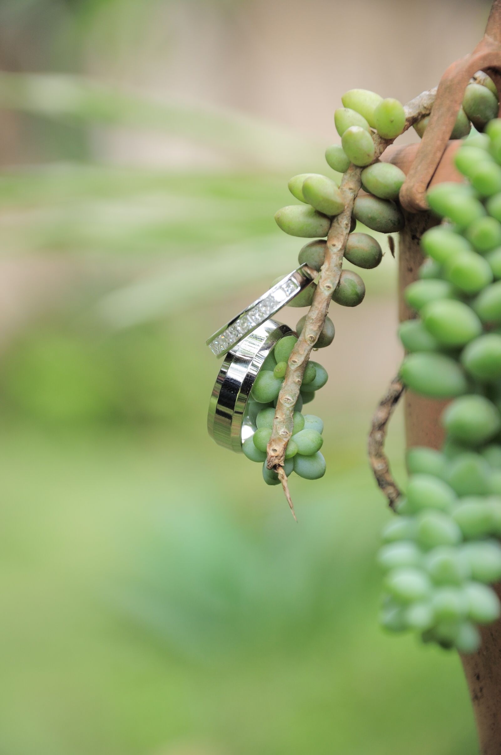Nikon D90 sample photo. Wedding, ring, marriage photography