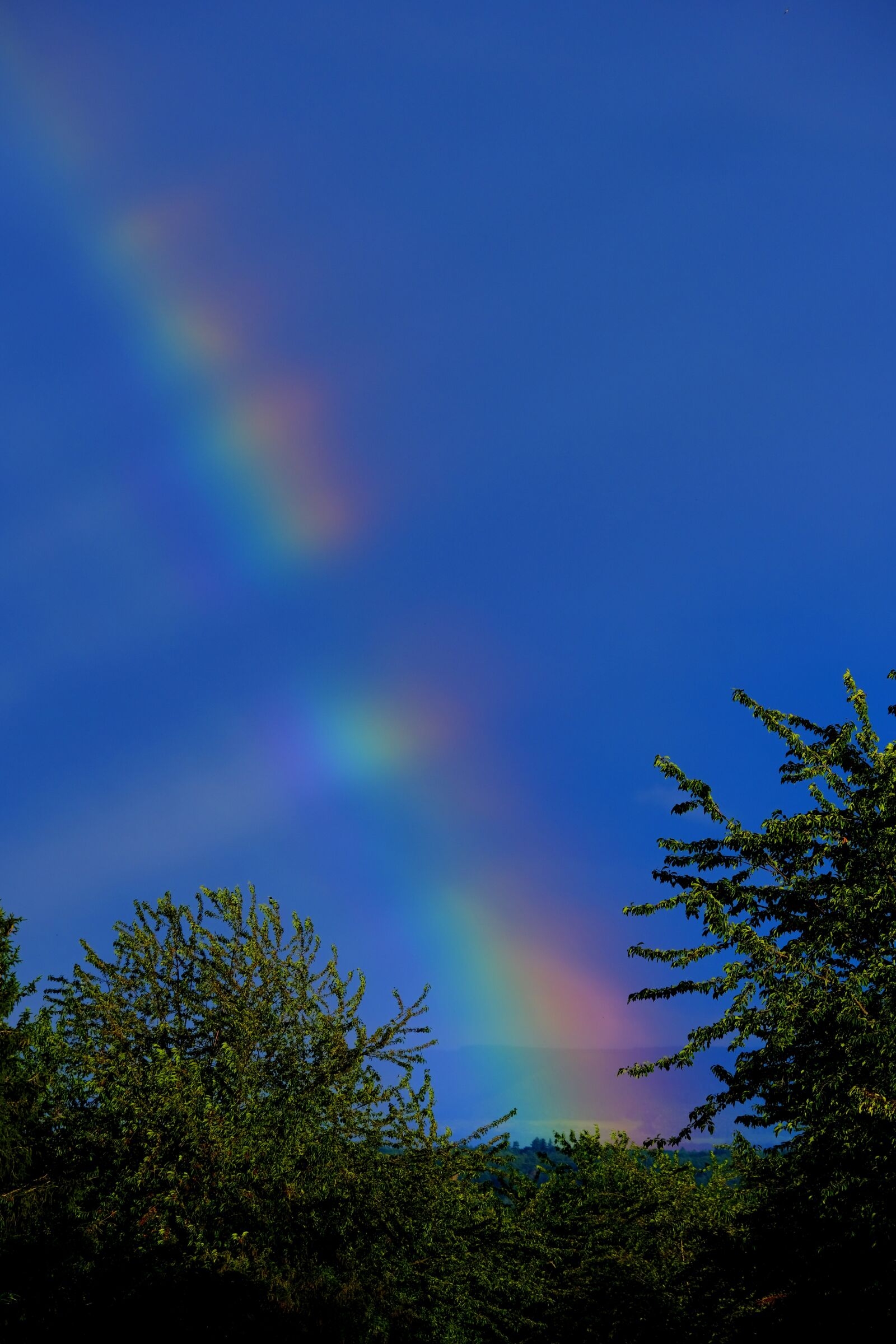 Fujifilm X-T3 sample photo. Rainbow, color, weather phenomenon photography
