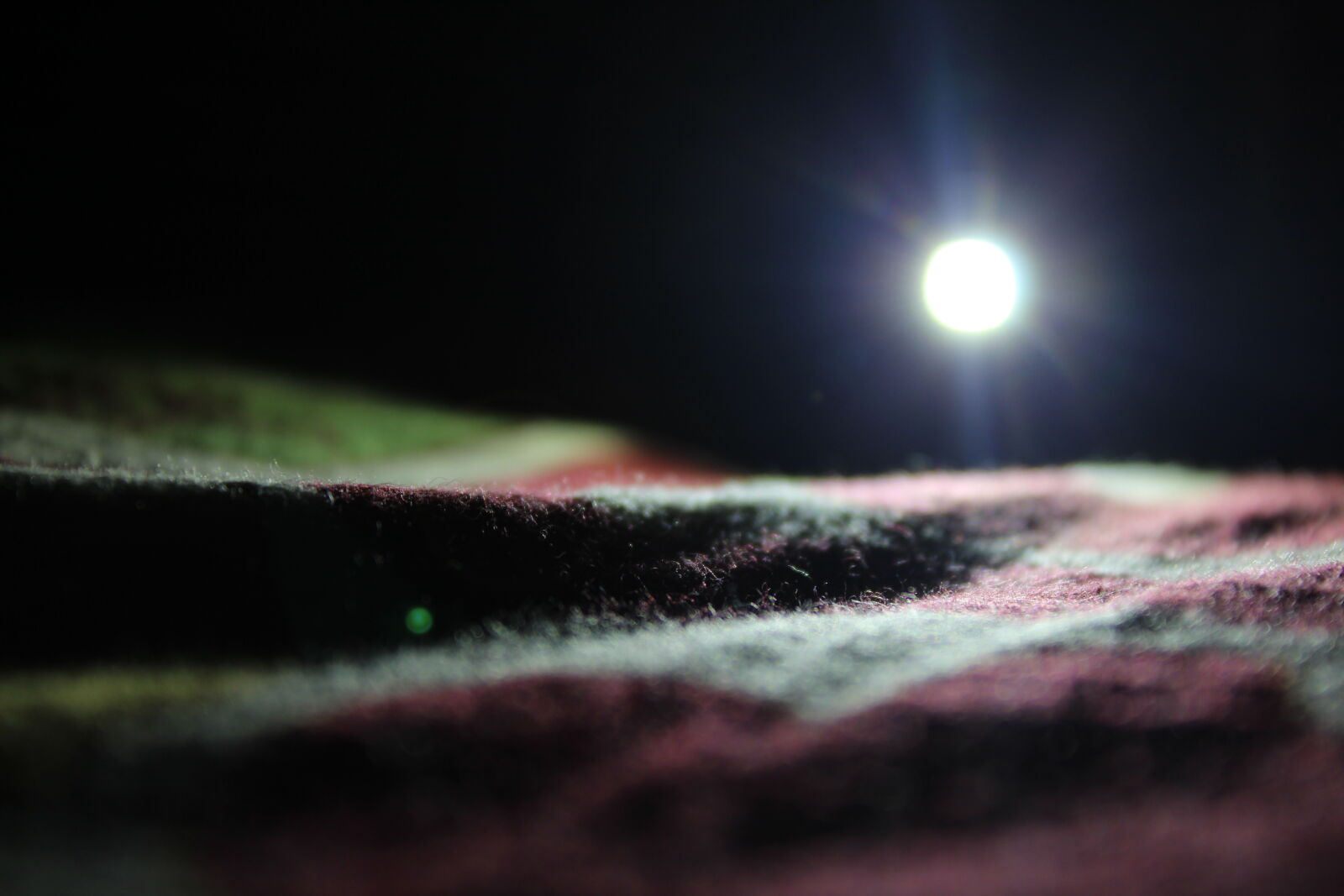 Canon EOS 1300D (EOS Rebel T6 / EOS Kiss X80) sample photo. Light, focus photography