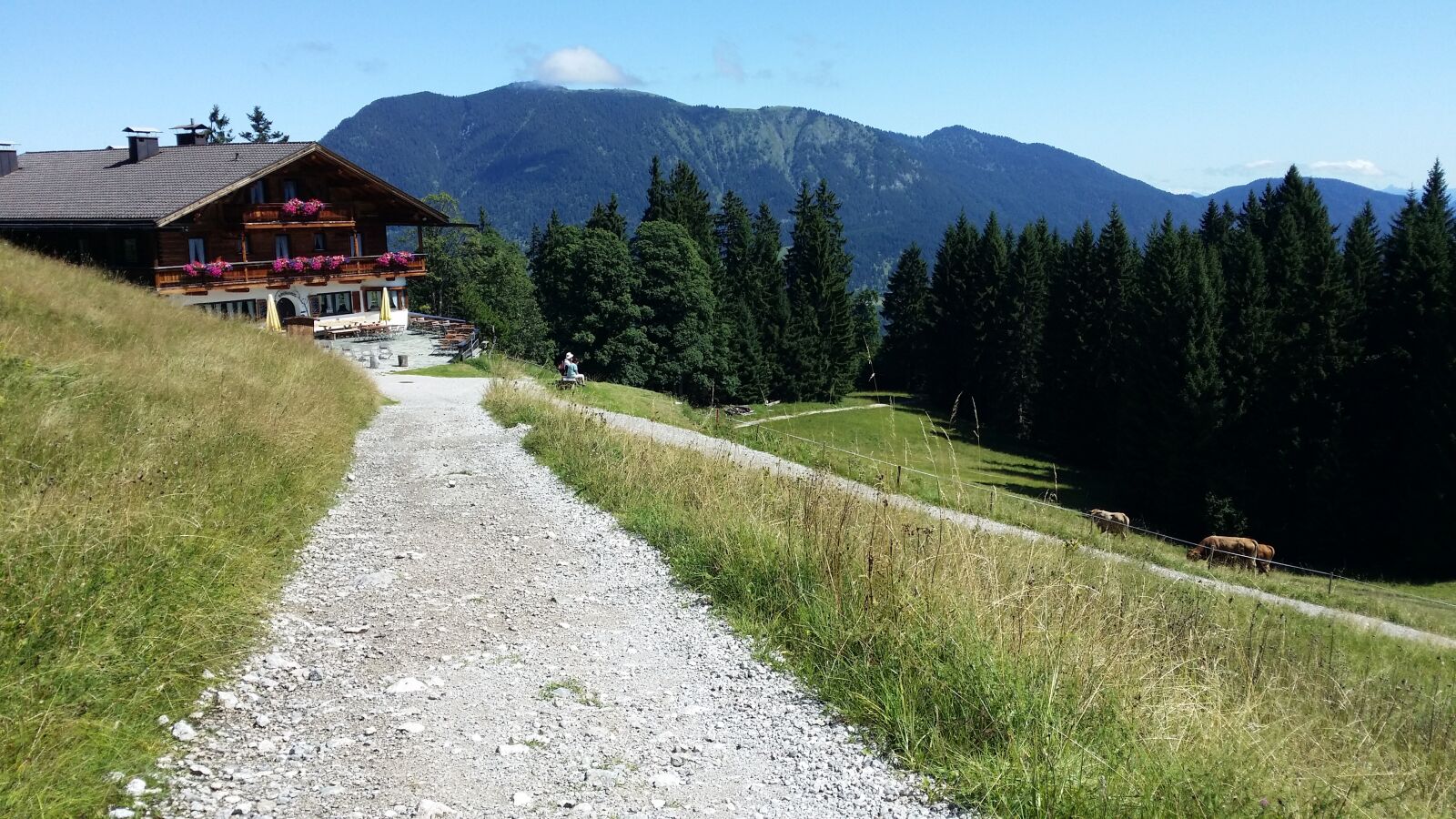 Samsung Galaxy S4 sample photo. Nature, mountain, grass photography