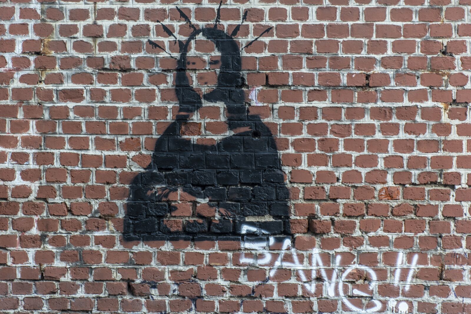 Nikon D7100 sample photo. Wall, graffiti, mona lisa photography