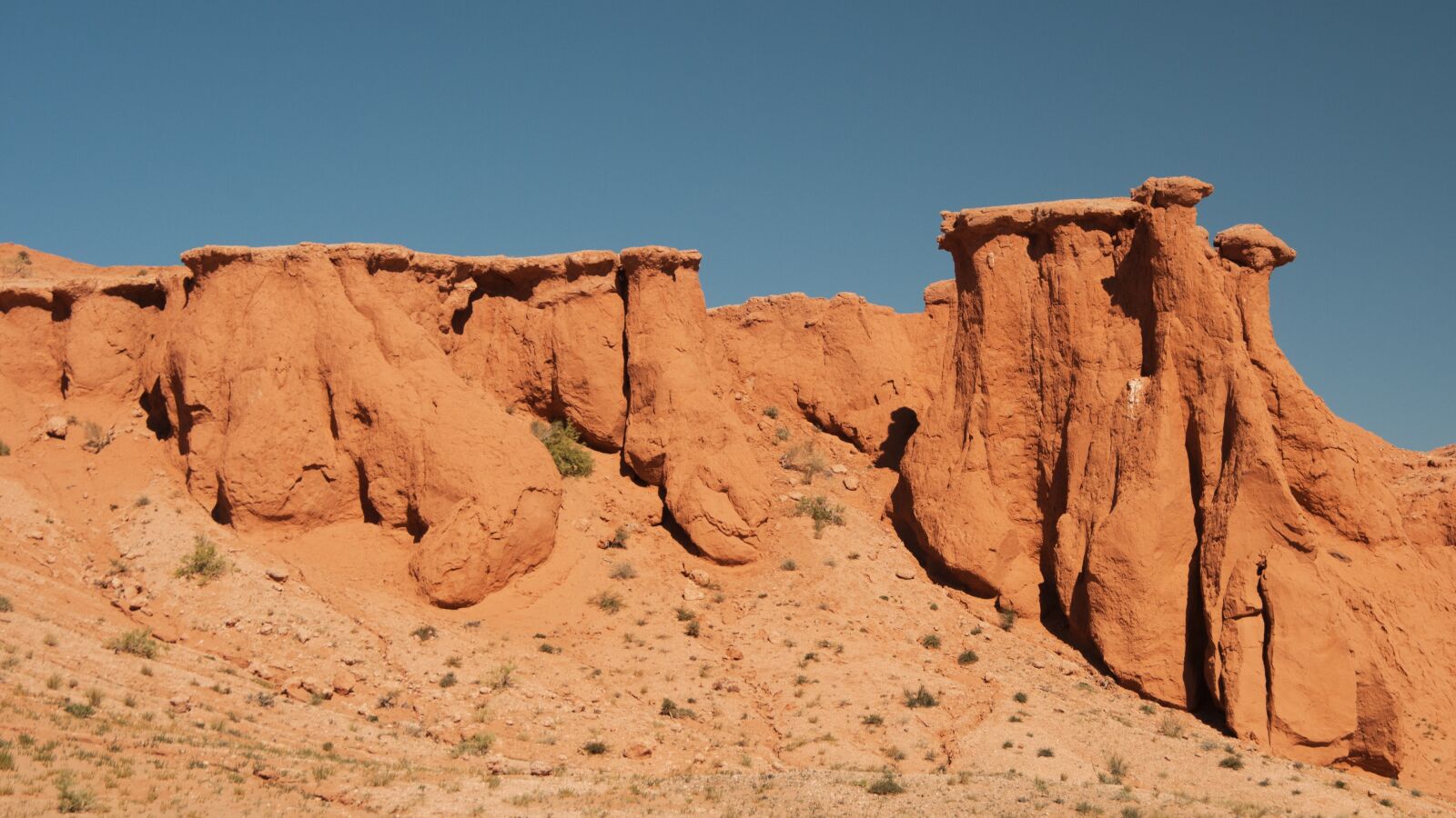 Nikon D300 sample photo. Mongolia, flaming cliffs, bayanzag photography