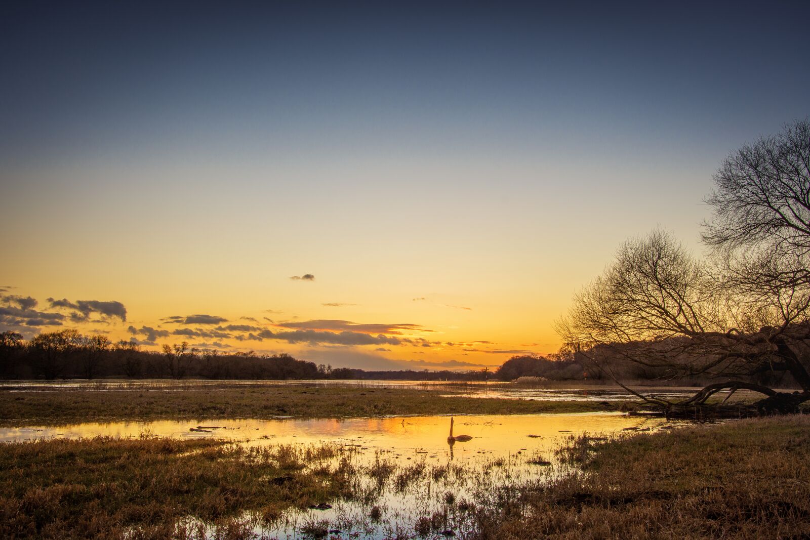 Nikon D7200 sample photo. Elbe, high water, evening photography