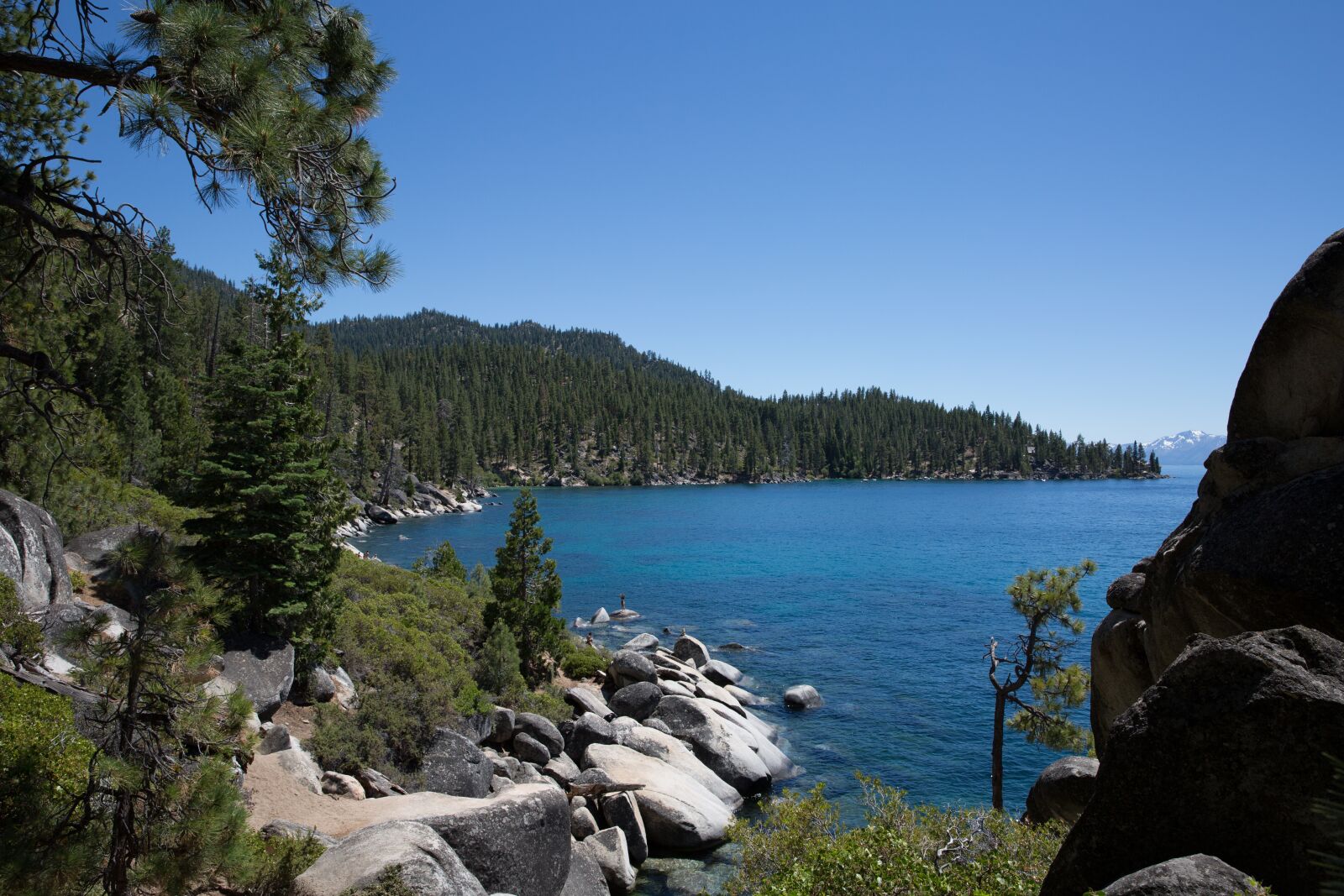 Canon EF 24-70mm F2.8L II USM sample photo. Lake, trees, tahoe photography