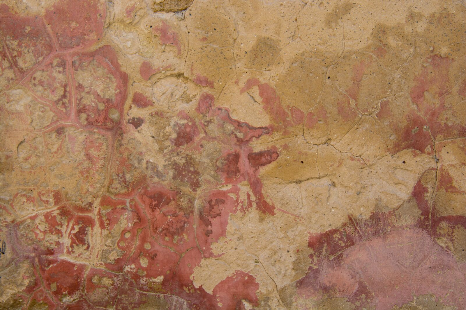 Nikon D7100 sample photo. Texture, background, background texture photography
