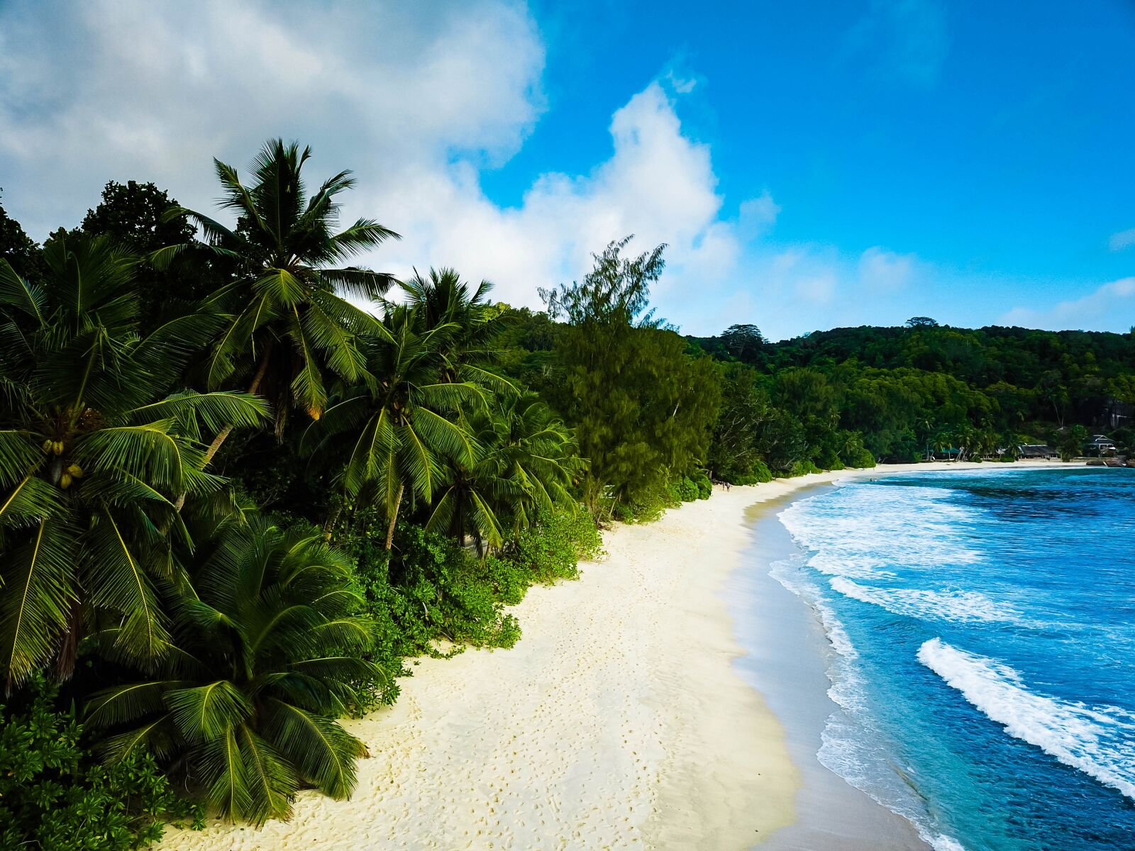 DJI FC220 sample photo. Seychelles, palm, sea photography