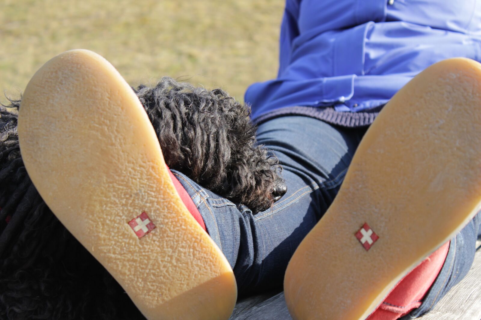 Canon EOS 600D (Rebel EOS T3i / EOS Kiss X5) sample photo. Dog, snout, friendship photography