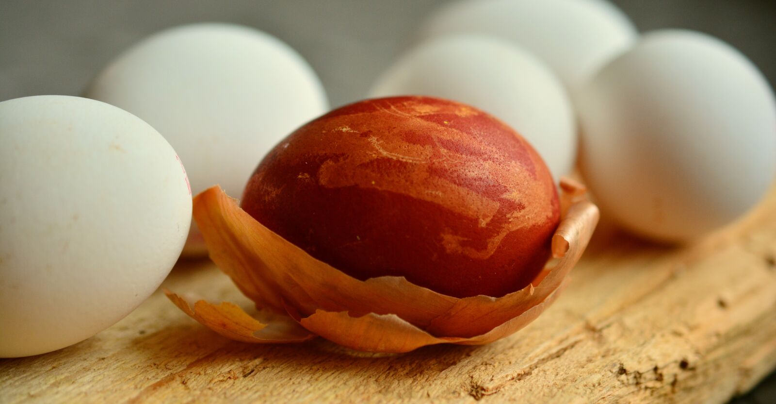 Nikon D5200 sample photo. Egg, easter egg, onion photography