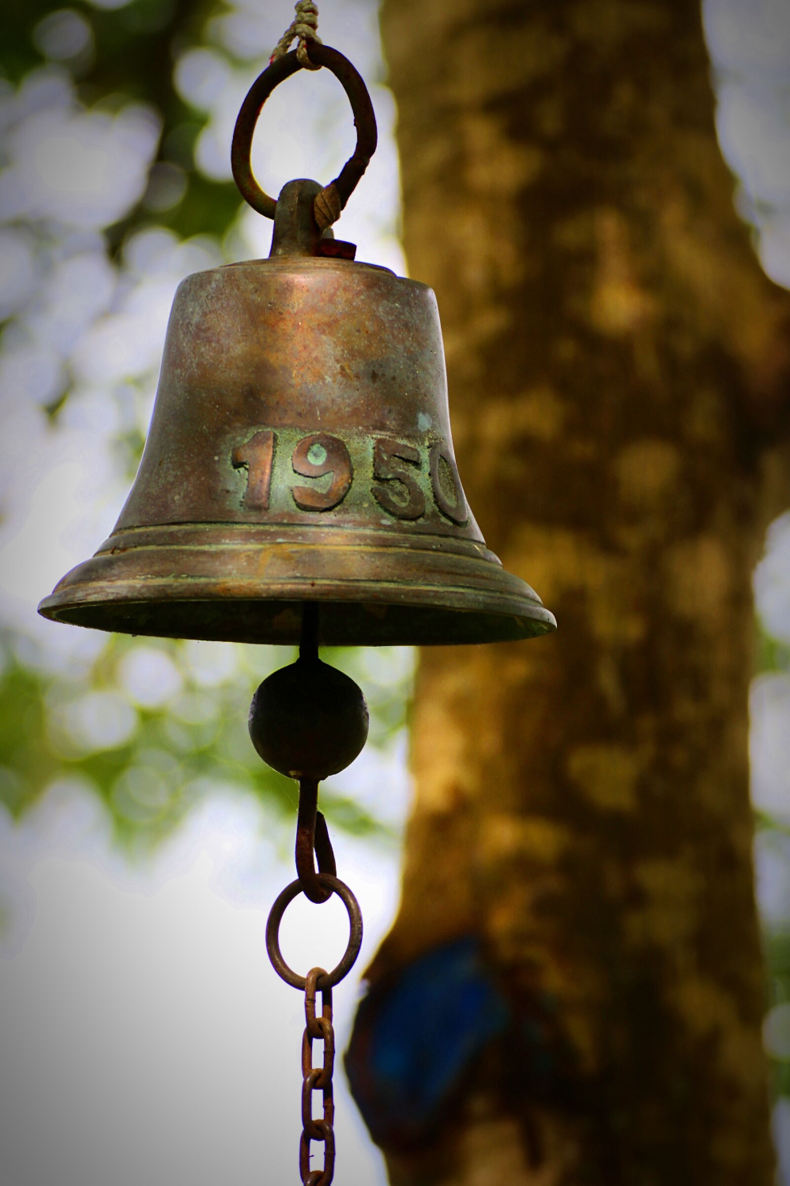 Canon EOS 80D sample photo. Bell, tree, decorative photography