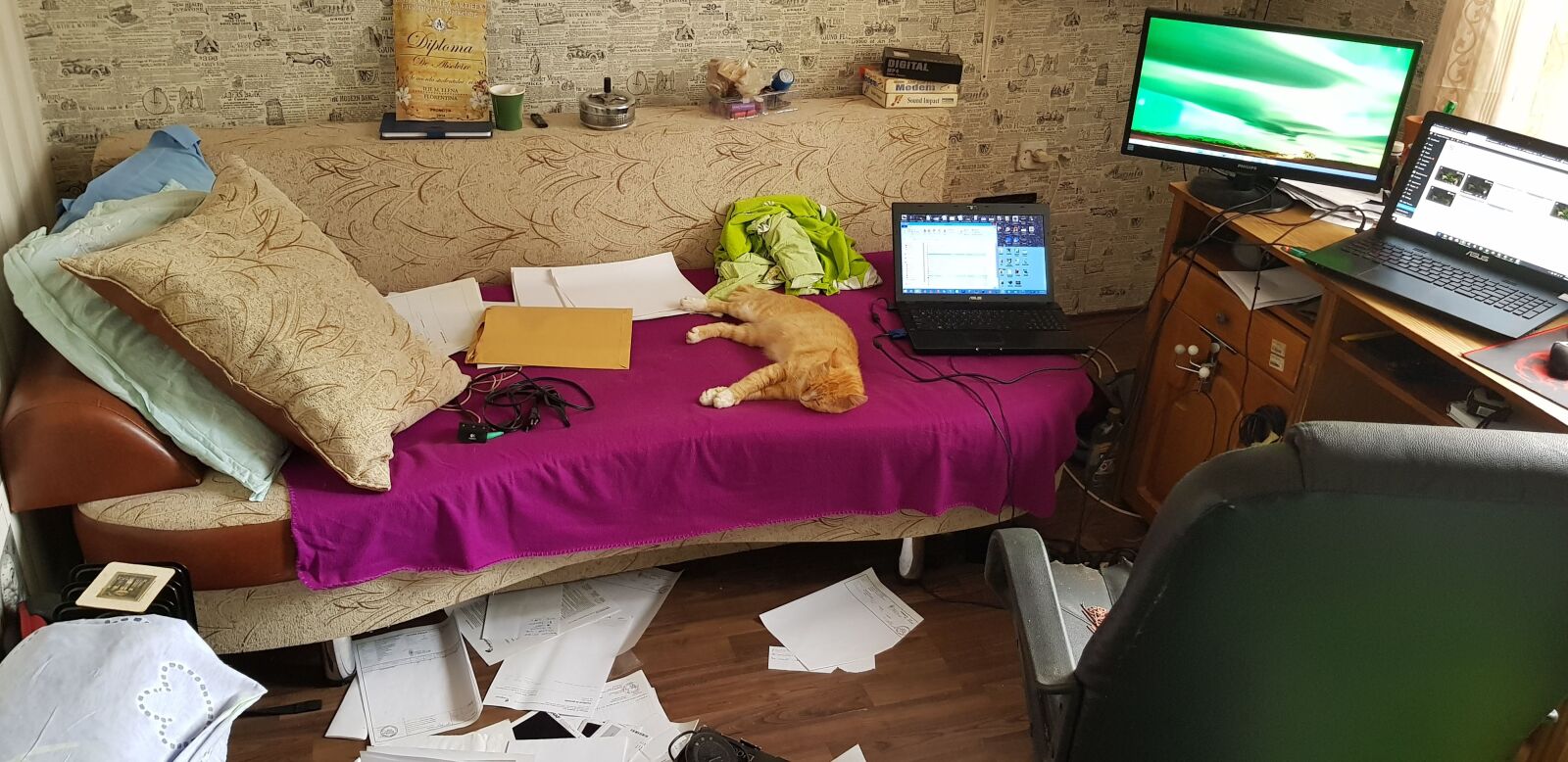 Samsung Galaxy S8+ sample photo. The cat, mess, sleep photography
