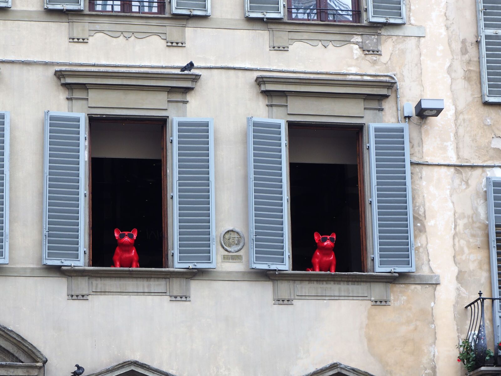 Olympus OM-D E-M1 + OLYMPUS M.12-50mm F3.5-6.3 sample photo. Florence, italy, window photography