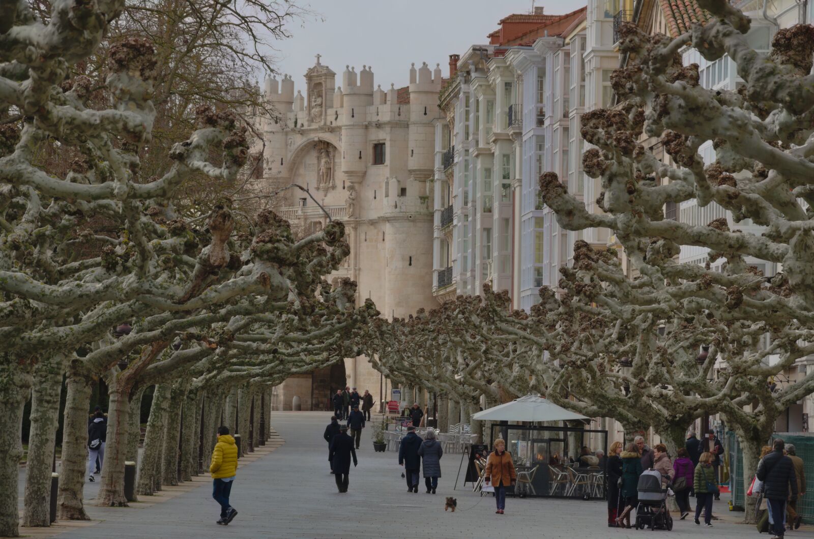 Nikon D5100 sample photo. Burgos, spain, city photography