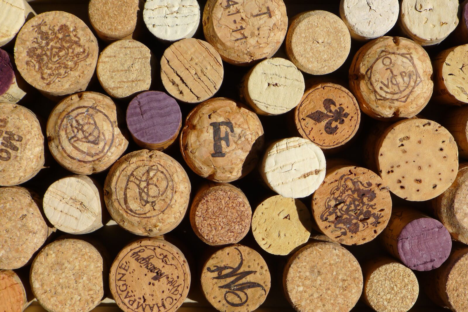 Panasonic Lumix DMC-LX5 sample photo. Cork, wine, winery photography