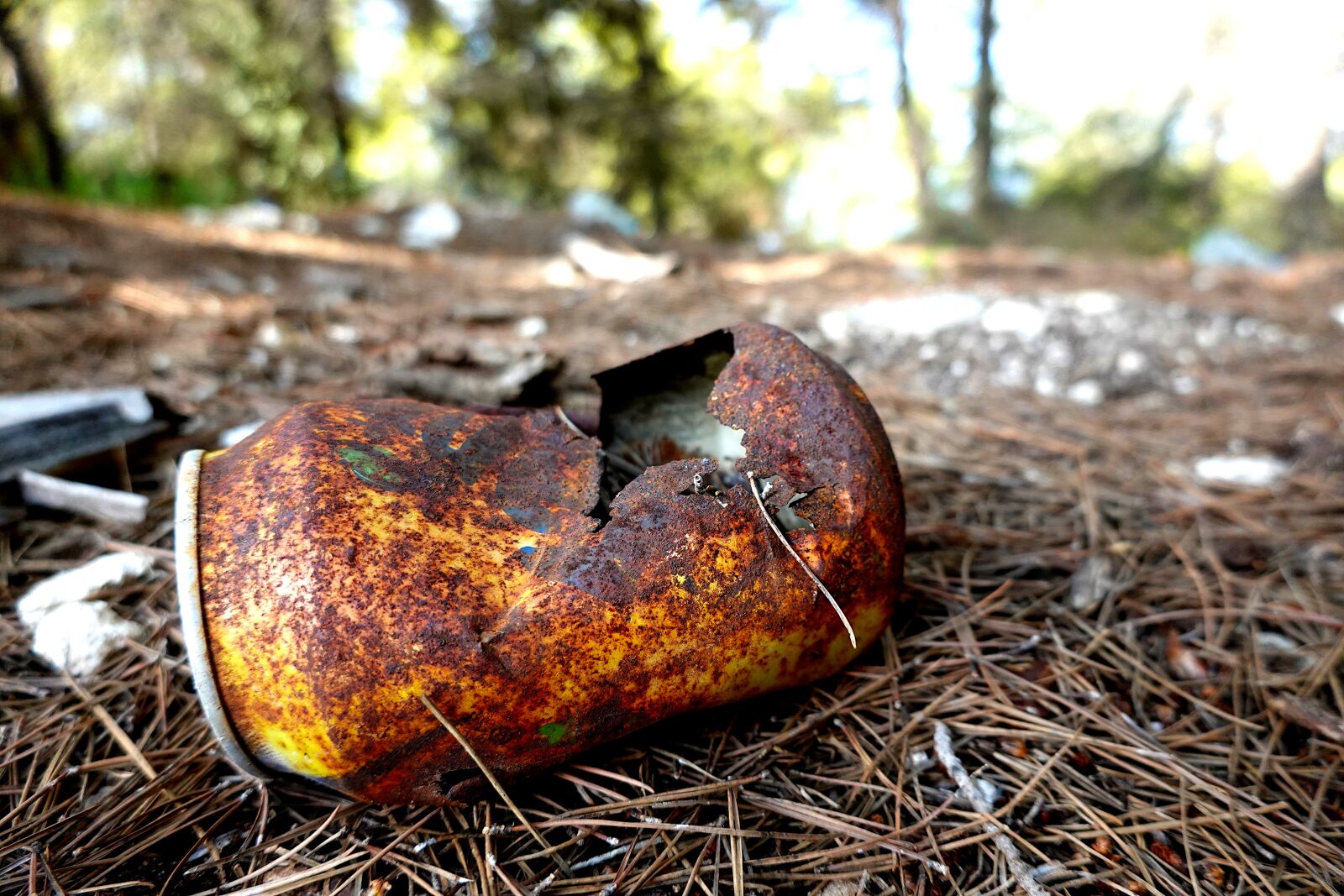 Sony Cyber-shot DSC-RX100 VI sample photo. Nature, box, old photography