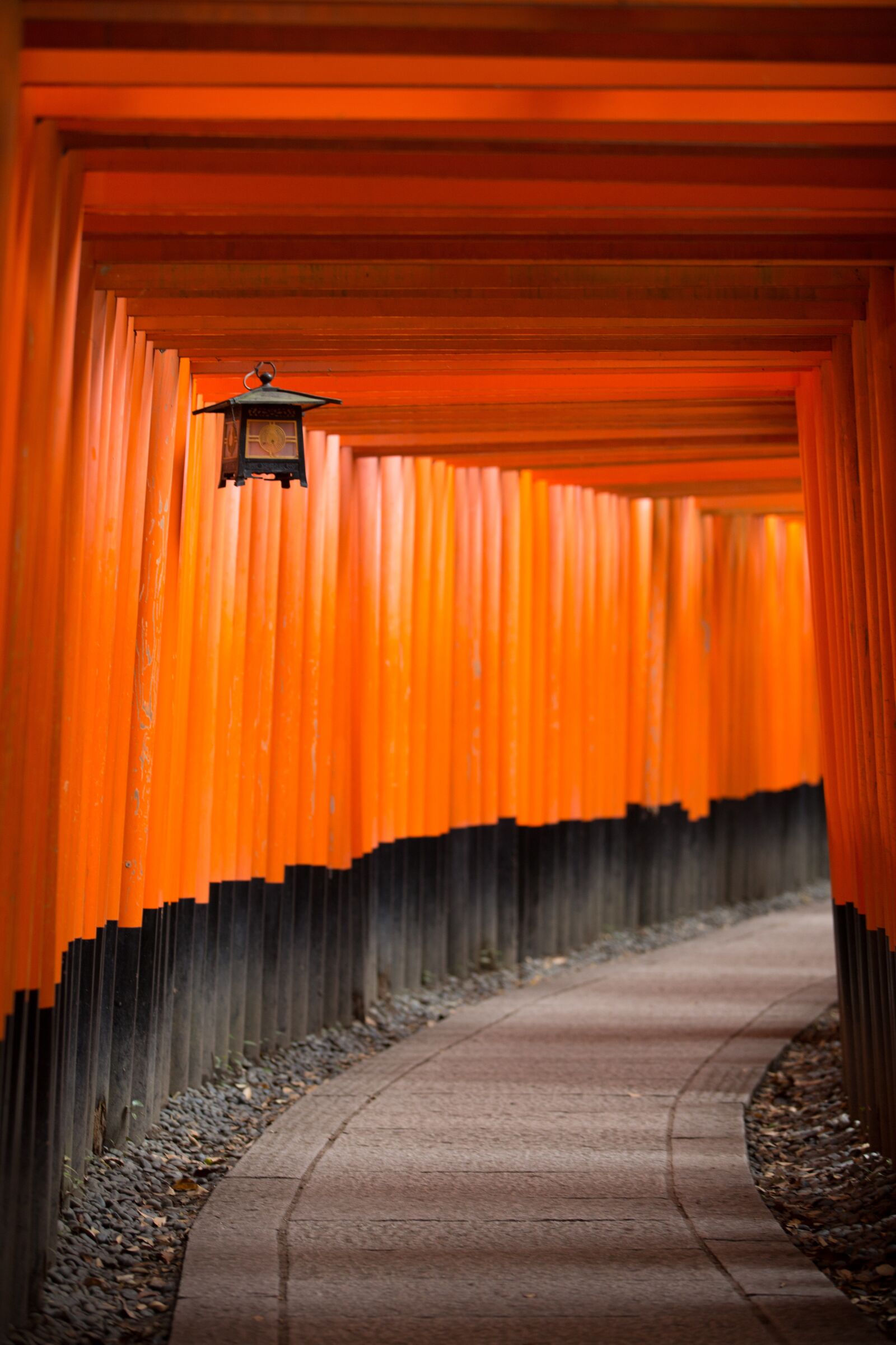 Canon EOS 5D Mark III sample photo. Architecture, art, color photography