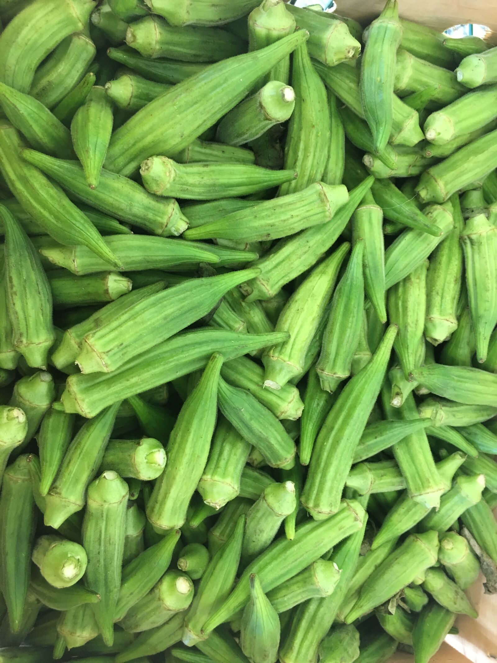 Apple iPhone 6s sample photo. Banana, box, market, carolina photography