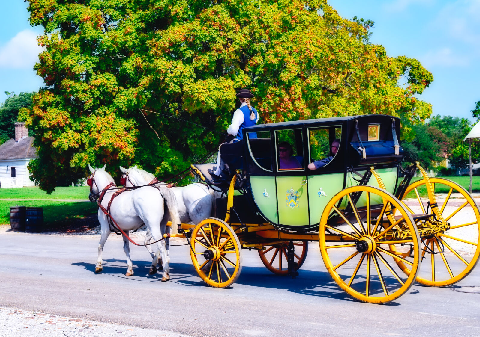 Nikon D3300 sample photo. Carriage, history, horses, places photography