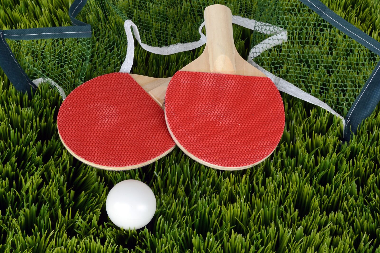 Nikon D7100 sample photo. Table tennis, ping-pong, bat photography