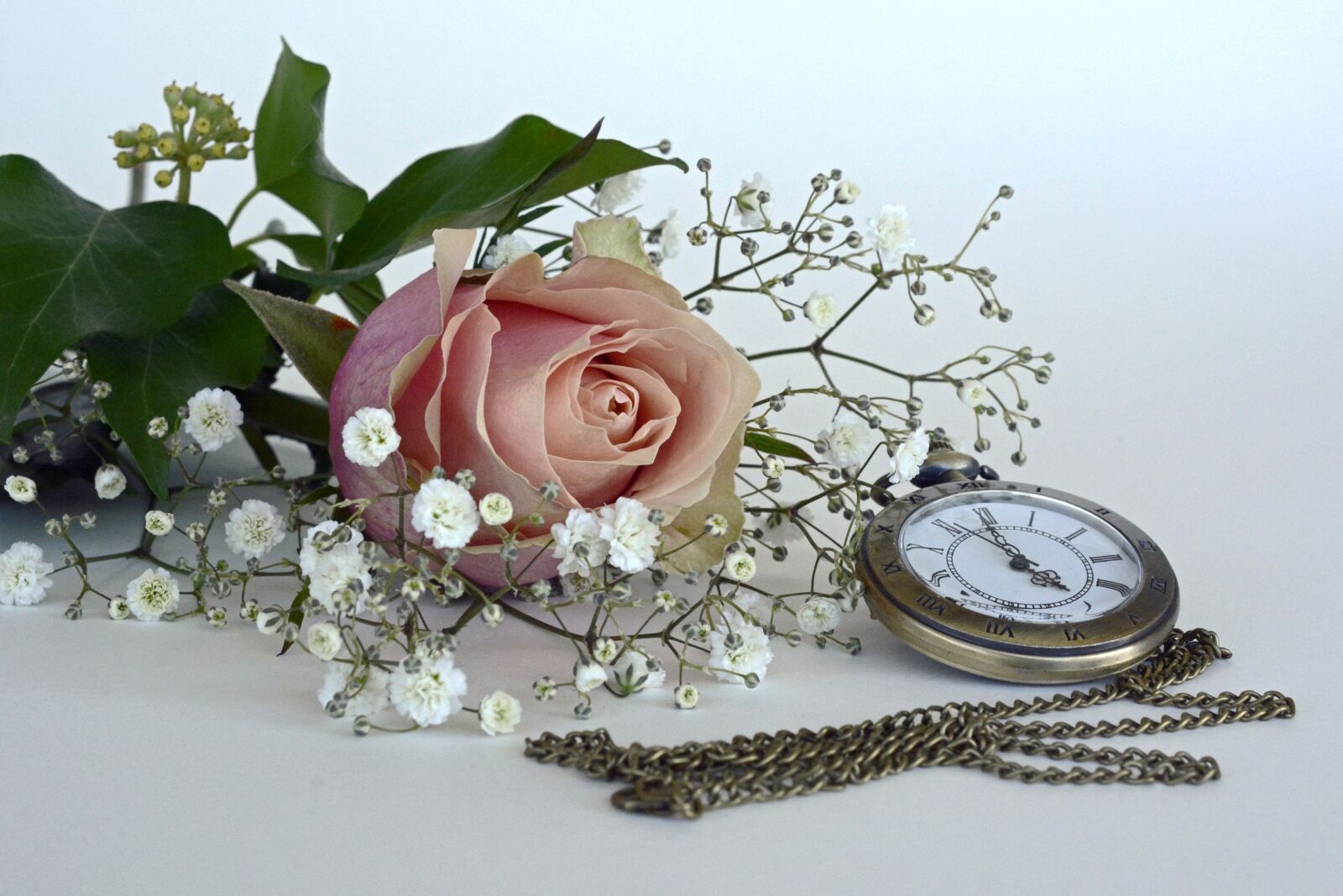 Nikon D7100 sample photo. Rose, blossom, bloom photography