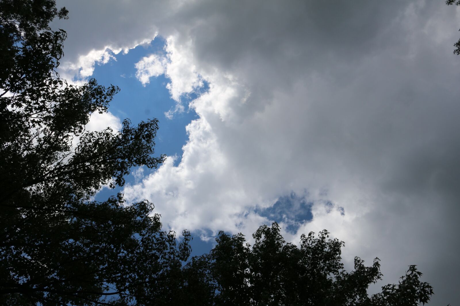 Canon EOS 100D (EOS Rebel SL1 / EOS Kiss X7) sample photo. Sky, clouds, trees photography