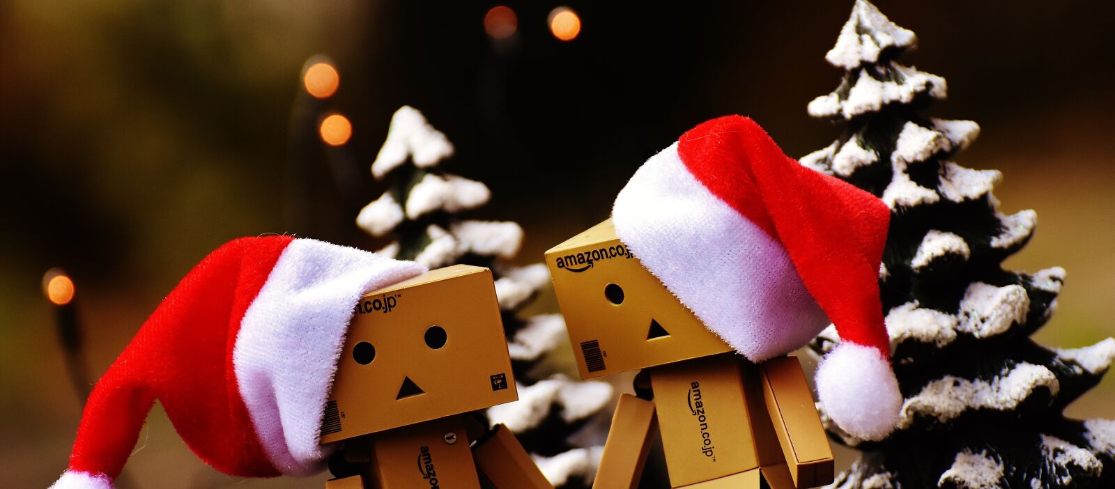 Nikon D7200 sample photo. Danbo, christmas, figure photography