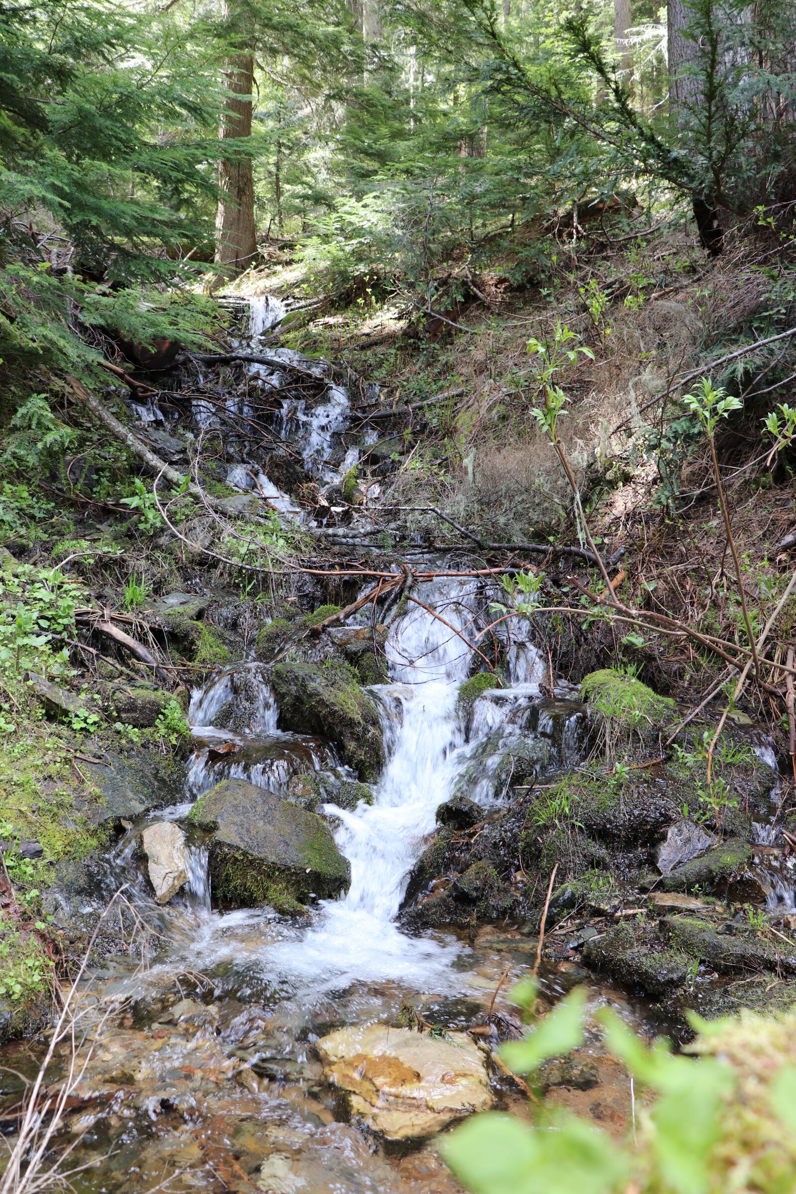 Canon EOS 200D (EOS Rebel SL2 / EOS Kiss X9) sample photo. Water, stream, waterfall photography