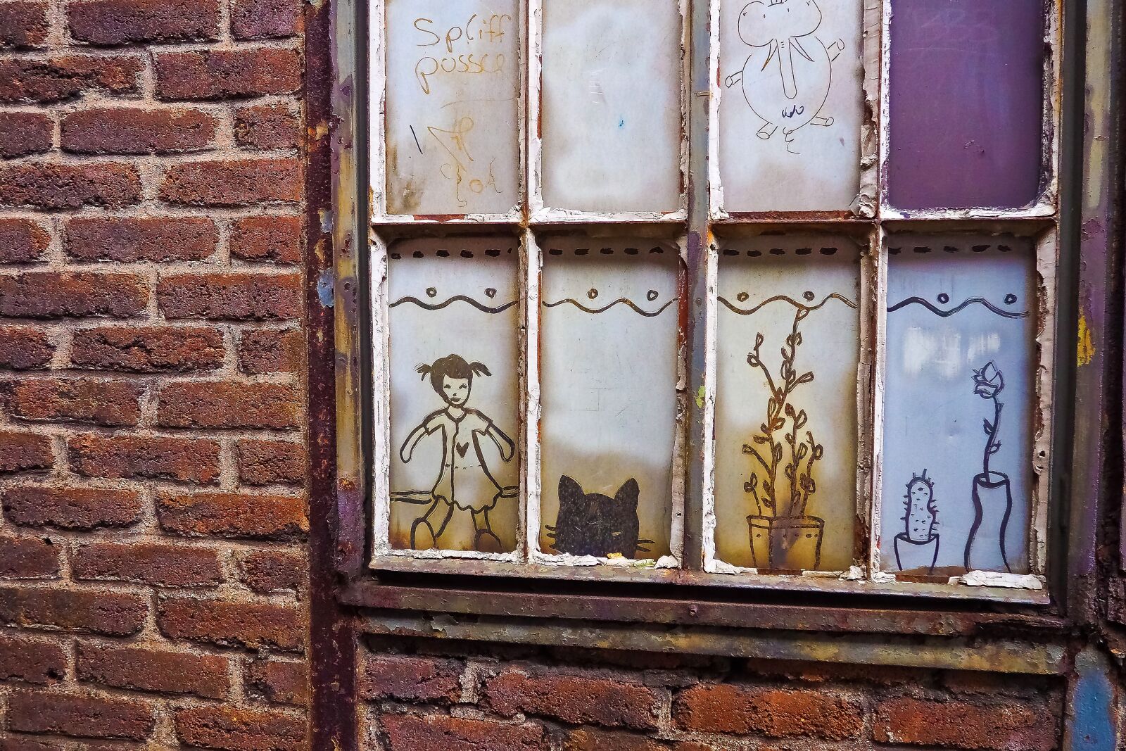 Olympus OM-D E-M10 sample photo. Window, discs, graffiti photography
