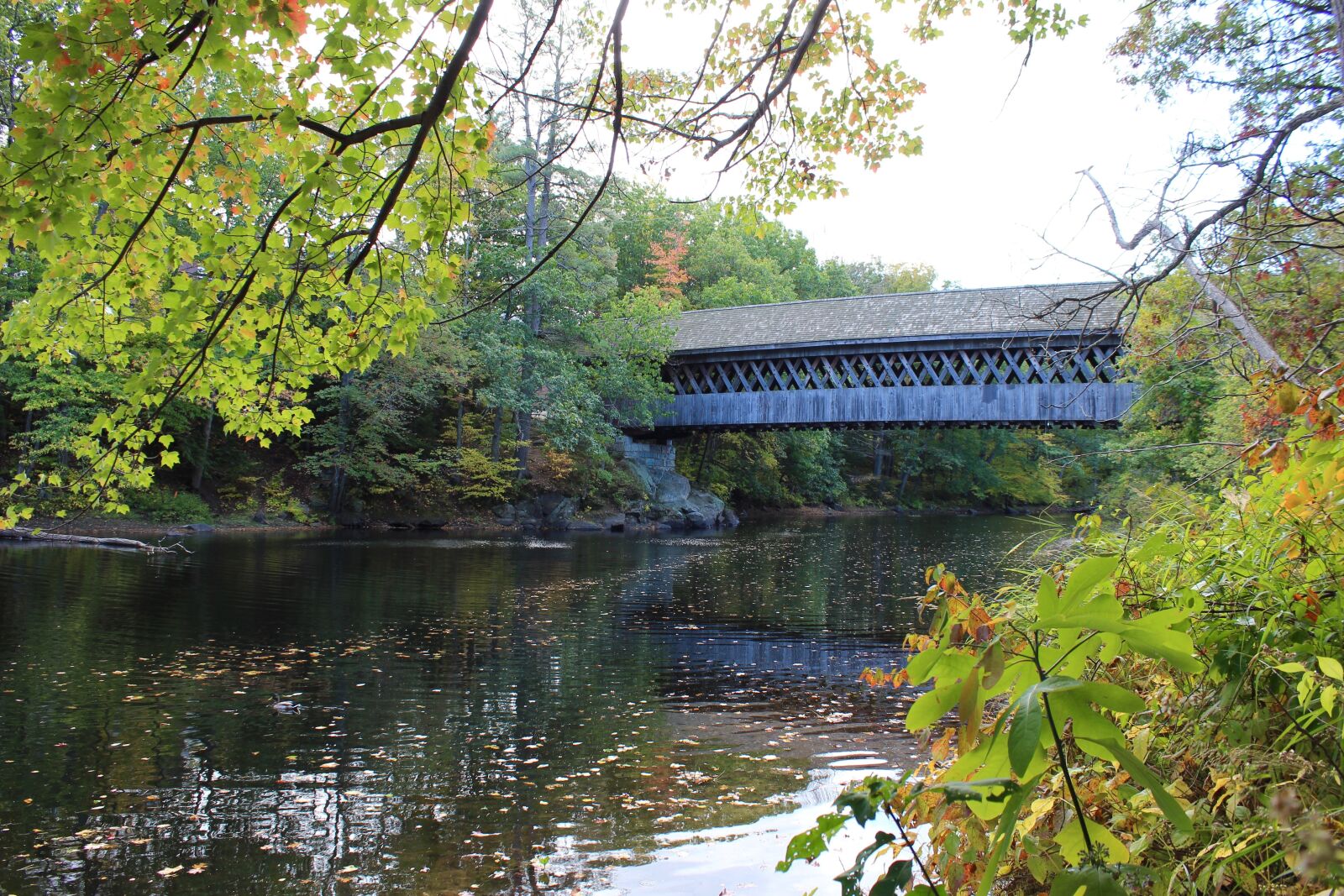Canon EOS 600D (Rebel EOS T3i / EOS Kiss X5) sample photo. Bridge, covered bridge, new photography