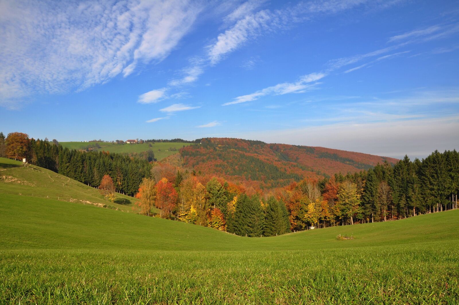 Nikon D90 sample photo. Autumn, golden autumn, autumn photography